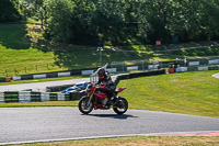 Lower Group Red Bikes